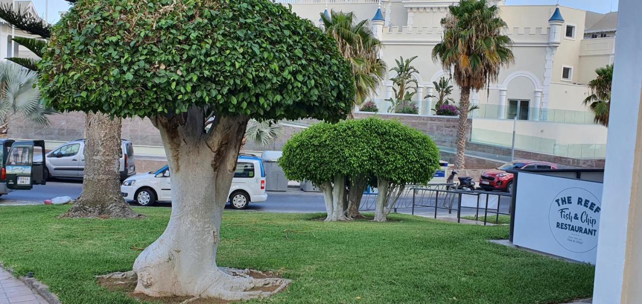 Avaa Daire San Miguel de Abona Dış mekan fotoğraf